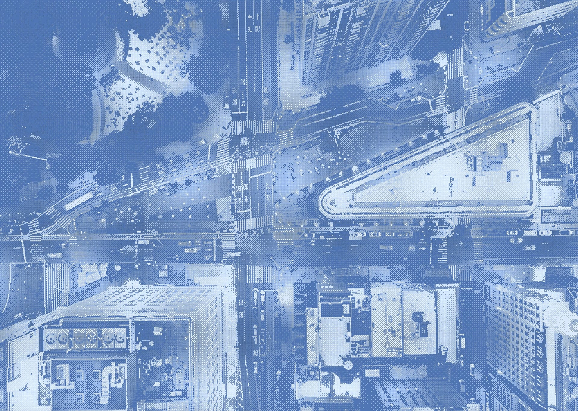 birds eye